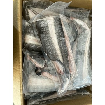 【漁讚】外銷級！生鰻魚片 白鰻魚 生鰻魚 鰻魚 蒲燒鰻魚 蒲燒鰻 白鰻片 生白鰻 裸鰻 錢鰻 烤白鰻 藥膳鰻魚 藥燉鰻魚