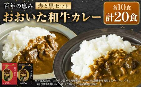 百年の恵み おおいた和牛カレー 赤と黒セット 各10個 計20個