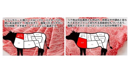 土佐和牛A5満喫セット2.3kg「南国」 牛肉 ステーキ 焼肉 すきやきしゃぶしゃぶ