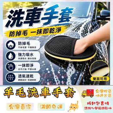 洗車手套 羊毛手套 洗車工具 細纖維洗車手套 仿羊絨洗車手套 羊毛擦車手套 🔥台灣現貨🔥 😽198玩具城😽 W599