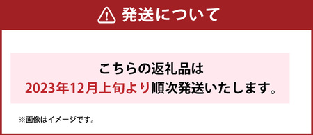 冷凍焼き芋約3.1kg