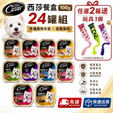 免運【任2箱送贈品】✨Q寶貝寵物✨Cesar 西莎 精緻風味餐盒 24入 48入 (100g/盒) 狗罐頭/濕糧 狗餐盒
