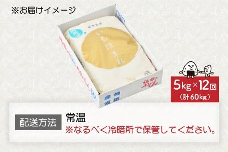  定期便 ≪12ヶ月連続お届け≫ 福井県のブランド米 いちほまれ 無洗米 5kg × 12回 計60kg [K-6153]