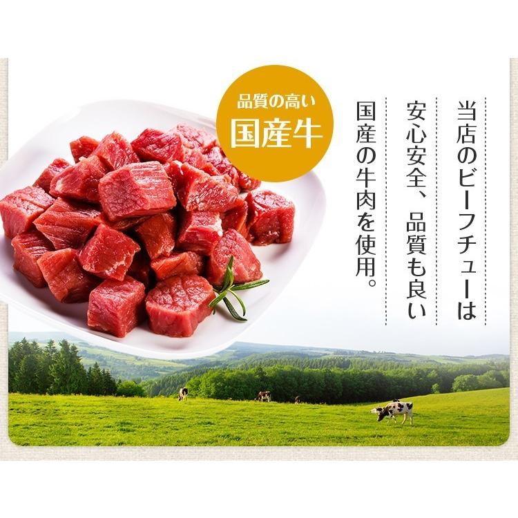 ビーフシチュー 辛口 200g×2袋 送料無料 お試し 1000円 セール 国産 牛 肉 デミグラス レトルト 惣菜 食品 旨さに 訳あり [メール便]