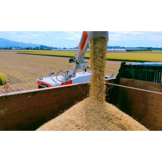 ふるさと納税 熊本県 玉名市 「ひのひかり」「にこまる」食べ比べセット（各5kg）