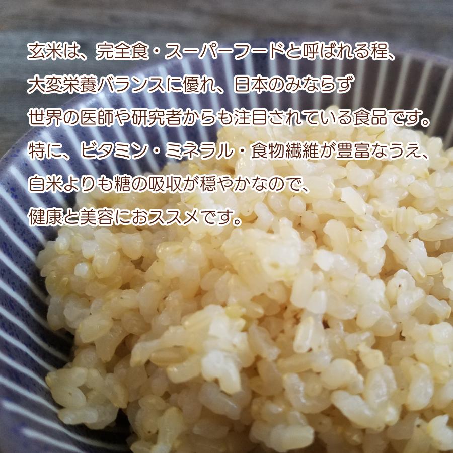 玄米 令和４年産 淡雪こまち ３kg 秋田県産 送料無料 国産 ギフト お米 お取り寄せ お試し 御中元 お中元 御歳暮 敬老の日 御礼 誕生祝い 御祝 返礼品