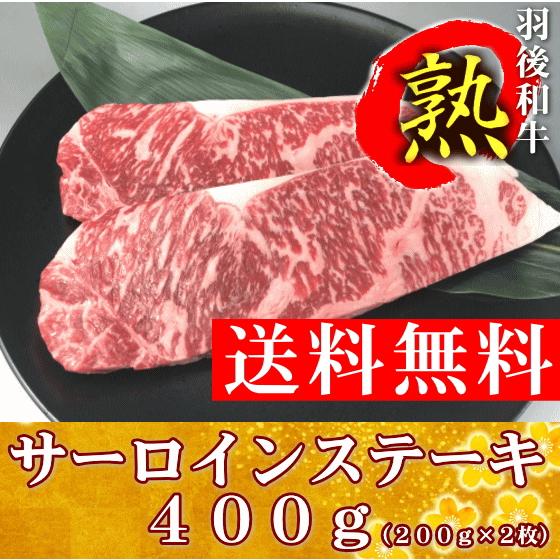 羽後和牛熟　サーロインステーキ　４００ｇ