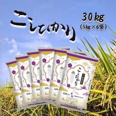 ふるさと納税 白子町 新米 令和5年産千葉県産コシヒカリ 精米 30kg (5kg×6袋)