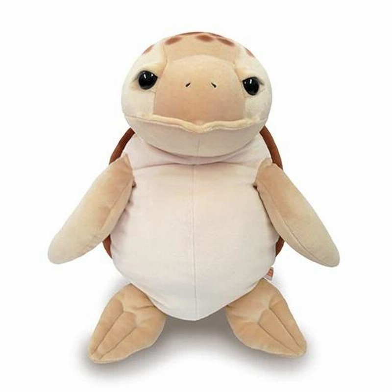 Amazon.co.jp: Jinmoioy ぬいぐるみ 亀 カメ/かめ 特大 大きい