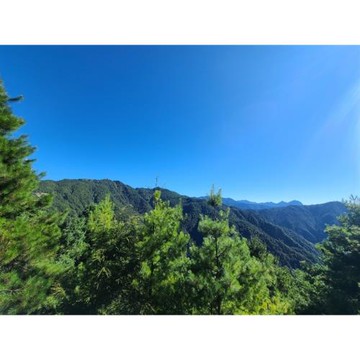 台中旅遊｜【迷你小車團.四人成行】雲霧畫境大雪山．雪山神木、天池、觀景台1日遊｜台中出發_25BCMAONE