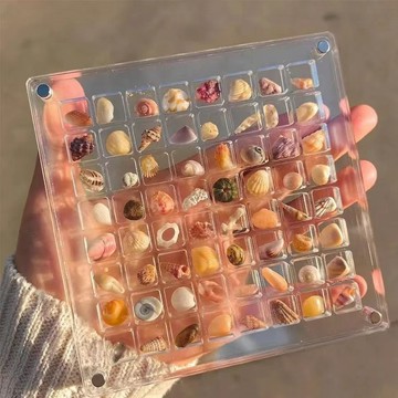 ✨臺灣出貨✨【天然海螺】6種超小海螺+海星約400顆收藏標本包郵禮物