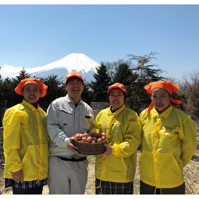 ふるさと納税 忍野村 富士山の恵”忍野のたまご”‐コクの赤玉‐30個入
