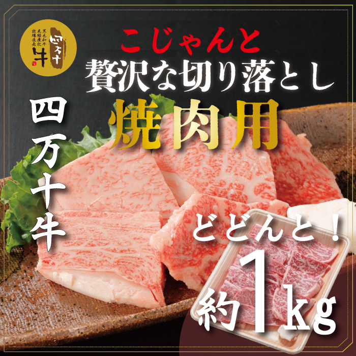 R5-979．幻の四万十牛 こじゃんと贅沢な切り落とし　焼肉用（黒毛和牛）約1ｋｇ