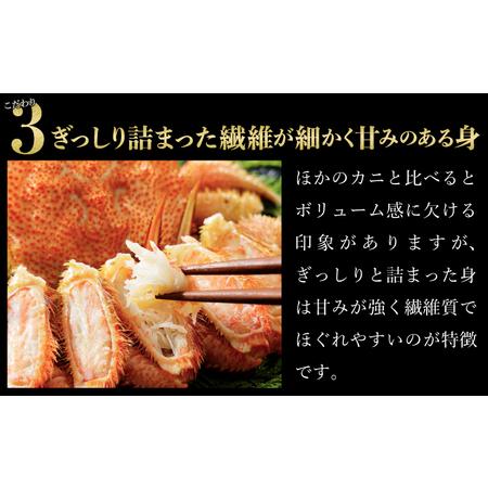 ふるさと納税 北海道登別産 旬の毛蟹500g前後×3杯 北海道登別市