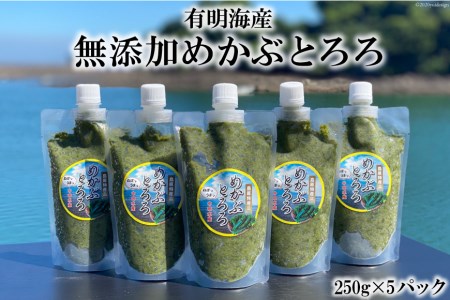 AE140有明海産 無添加めかぶとろろ（250g×5パック）