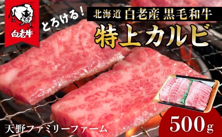 北海道 白老産 黒毛和牛 特上カルビ 500ｇ (2・3人前)