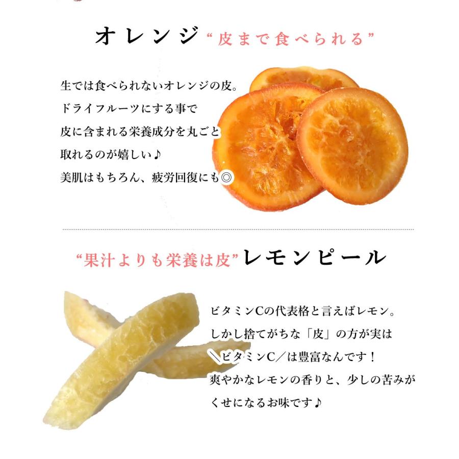 大地の生菓 ドライフルーツ 6種類のプレミアムミックス 100g 送料無料 オレンジ キウイ あんず レモン パイン クリスマス ギフト プレゼント 2023