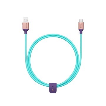 mophie USB-A 對 USB-C 充電連接線 (1 公尺) - 湖水綠色