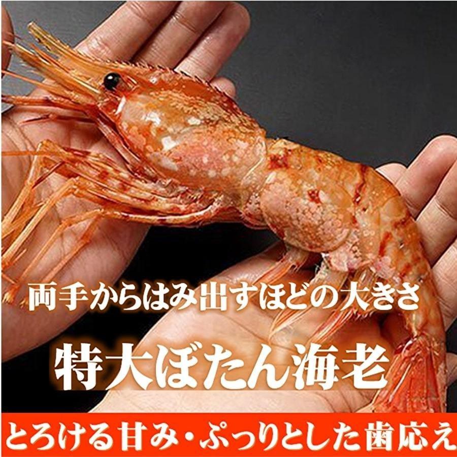 ボタン海老 特大 甘海老 食べ比べ