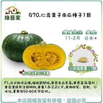 【綠藝家】G70.仁壽栗子南瓜種子1顆