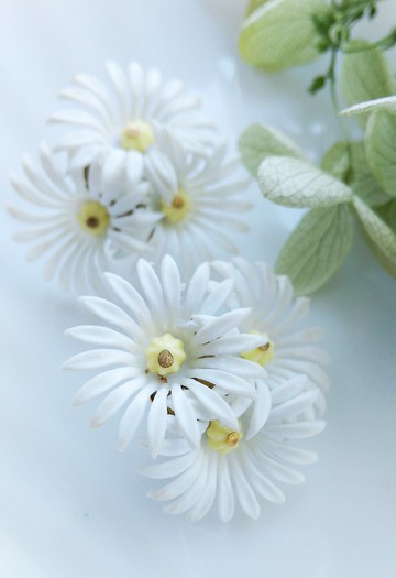 Vintage Jewelry 西洋古董飾品 軟膠 白色系 花卉 小花 針式耳環