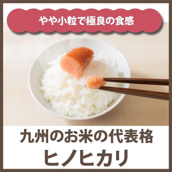 棚田米 令和5年産 熊本県ひのひかり精米 10kg