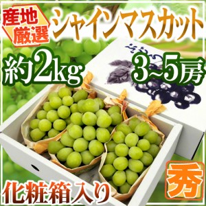 ”シャインマスカット” 秀品 3～5房 約2kg 化粧箱 産地厳選 送料無料