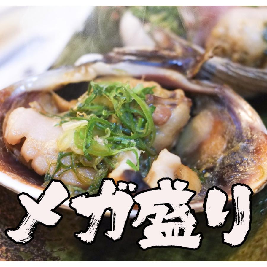 大あさり 1kg 11〜15個 大アサリ 大貝 うちむらさき BBQ 居酒屋 海鮮 同梱推奨 片貝 殻つき 炉端焼き