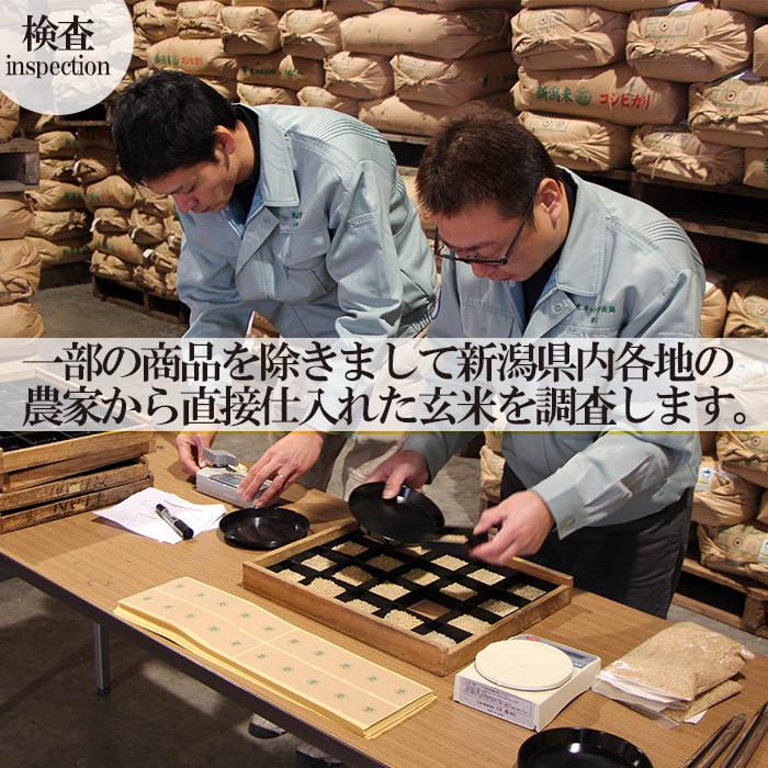 新潟米 令和５年産 新潟米 新潟産オリジナルブレンド米 「当店イチオシ」 25kg （10kg×2袋 5kg×1袋） お米マイスター 特選新潟米100％ オリジナルブレンド米