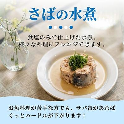 ふるさと納税 松浦市 さば水煮缶セット(12缶)