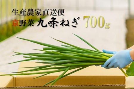 生産農家直送　京野菜・九条ねぎ  700g