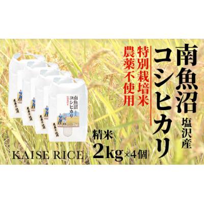 ふるさと納税 南魚沼市 南魚沼産塩沢コシヒカリ(栽培期間中農薬不使用)精米2kg×4個