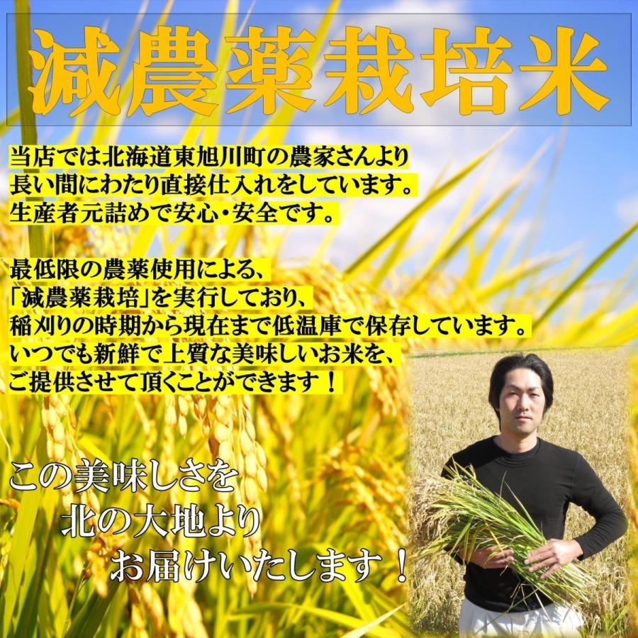 米 お米 5kg 新米 北海道産 ななつぼし 白米 低農薬米 令和5年産 東旭川産 特A 高橋さんのななつぼし