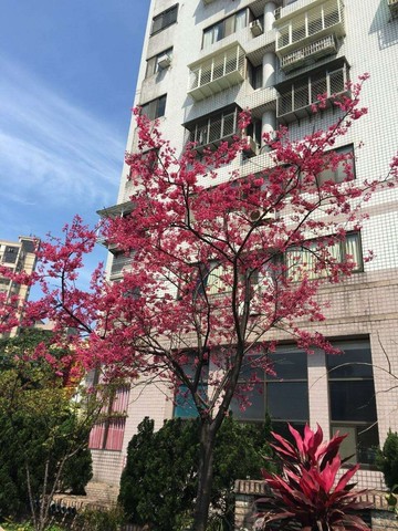專約海景天下專約套房｜新北市淡水區大忠街
