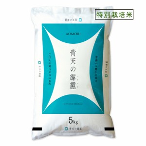 新米  米 5kg 5年産  青森県産 特別栽培米 青天の霹靂 青森県産 白米5kg  特栽