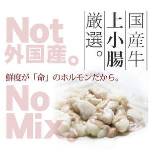 ふるさと納税 博多鍋セット進化したもつ鍋！「明太もつ鍋」と「トマトとチーズのローマ風もつ鍋」 4〜6人前 福岡県大川市