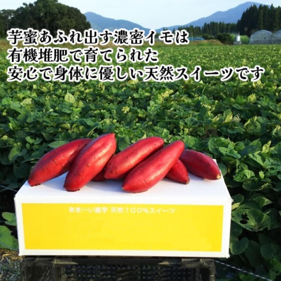 濃密冷凍焼き芋スライス500ｇ×２袋　1ｋｇ 紅はるか さつまいも 焼き芋 有機堆肥 人気商品  手土産 お土産 ギフト お中元 お歳暮 プレゼント 冷凍食品