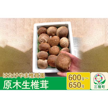 ふるさと納税 秋田県産 原木生椎茸（600?650g）農薬不使用 産地直送 秋田県三種町