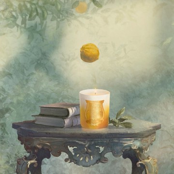 【Trudon】黃金島嶼 德羅270g 限量香氛蠟燭|生日禮物 官方推薦 送禮首選 法國皇室御用