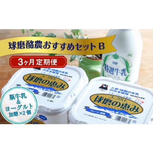 ふるさと納税 熊本県 湯前町 球磨酪農おすすめセットB（瓶牛乳ヨーグルト加糖×2個）