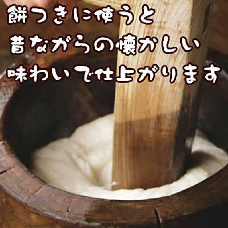 新潟県産 白米 こがねもち米 5kg 令和4年産