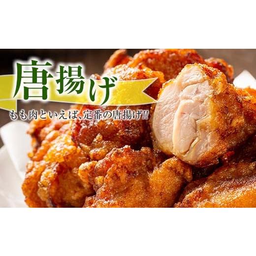 ふるさと納税 宮崎県 日南市 小分けで便利 カット済 若鶏 もも肉 計2.5kg 250g×10袋 肉 鶏 鶏肉 国産 おかず 食品 お肉 チキン 送料無料_B219-23