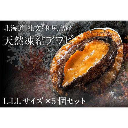 ふるさと納税 礼文島産　凍結島アワビ　Lサイズ 5個 北海道礼文町