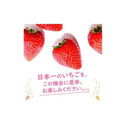 ふるさと納税 栃木県 真岡市 とちあいか 1.8kg (600g×3箱)　