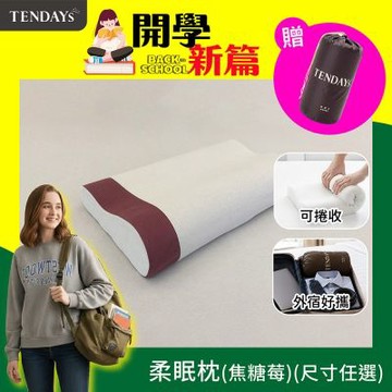 TENDAYS 玩色柔眠記憶枕(焦糖莓) 8/10cm可選