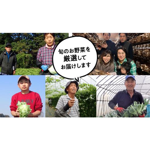 ふるさと納税 茨城県 八千代町  産地直送 ！ 旬 の 産直 野菜 セット 詰め合わせ  BOX 新鮮 詰合せ つめあわせ 直送 茨城 茨城県 おまかせ […