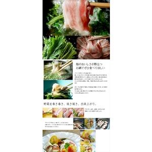 ふるさと納税 定期便6ヶ月 イベリコ豚 バラ スライス 1kg(200g×5) 大阪府松原市