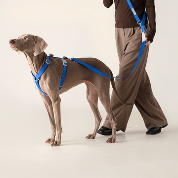 【tails&me 尾巴與我】新經典系列 犬H型胸背帶(單色 共6色)