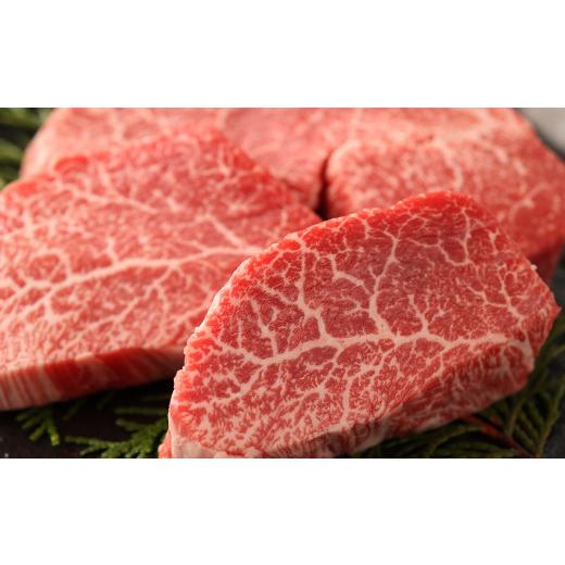 ふるさと納税 岐阜県 下呂市 飛騨牛ヒレステーキ  120g×3枚　国産 牛肉 ブランド牛  赤身 　