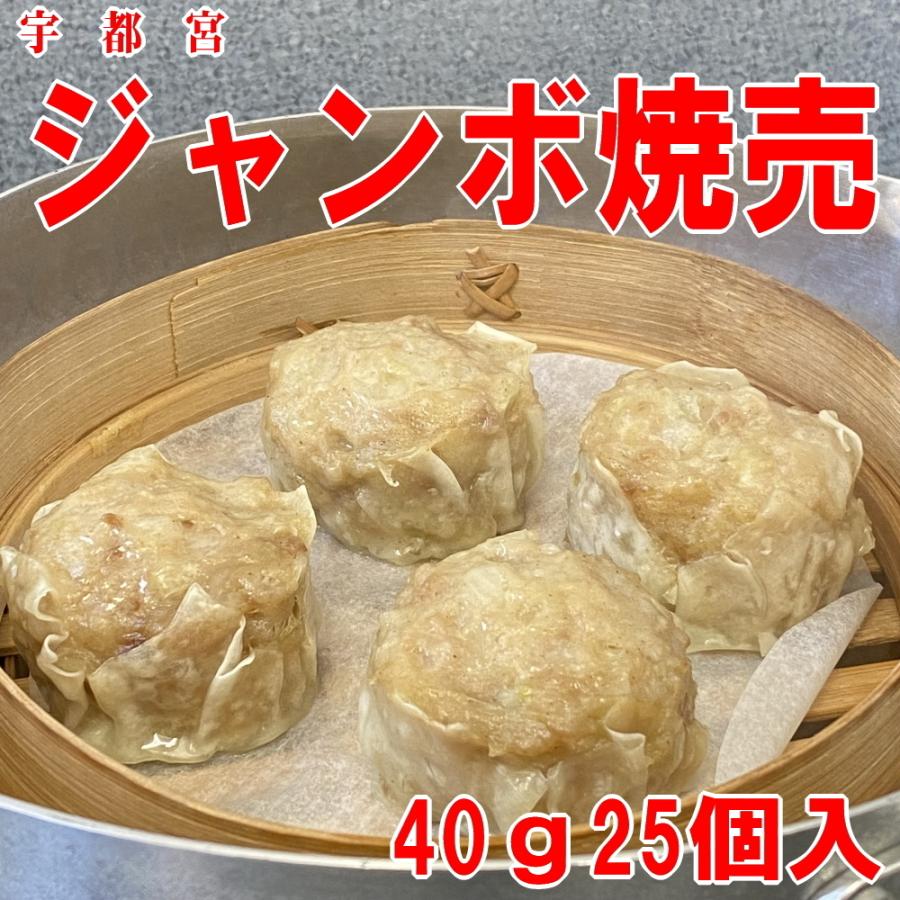 送料無料 冷凍餃子 宇都宮AQ餃子肉焼売セット  宇都宮 餃子 ぎょうざ ギョーザgyouza 餃子焼売セット シュウマイ シューマイ